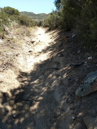 Part of the final climb of our day, the sandy climb with many names.
